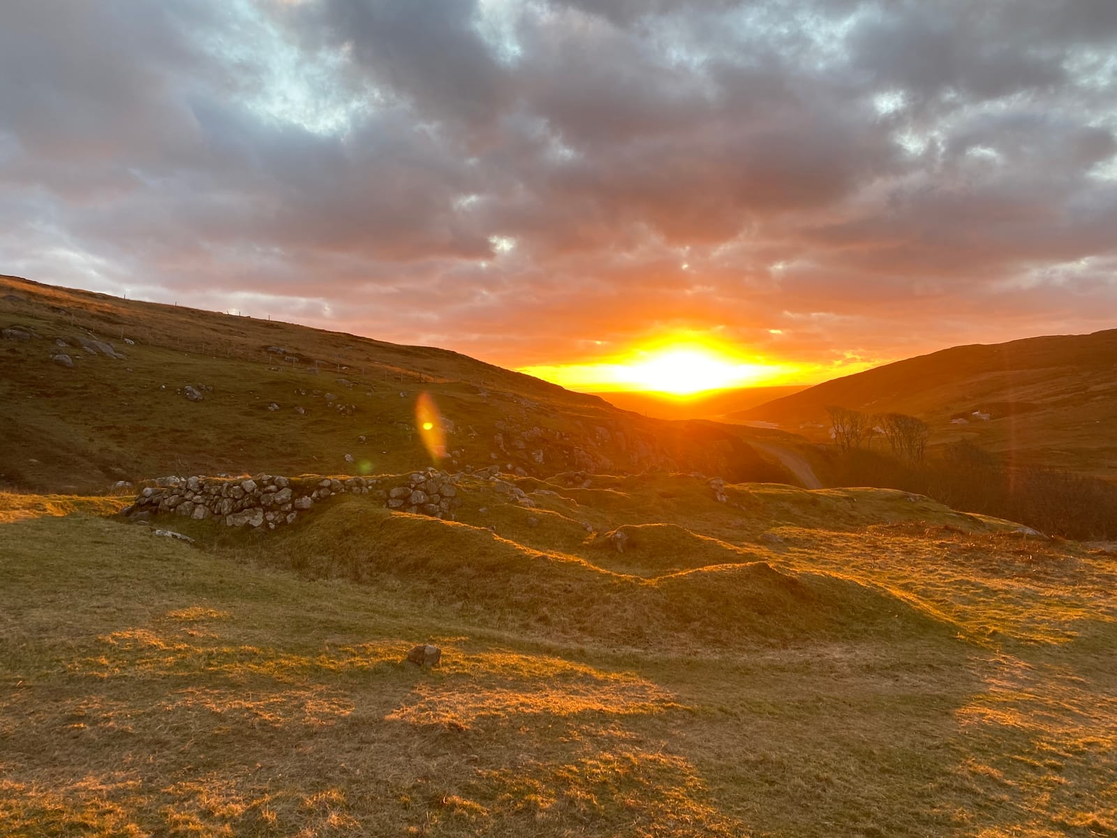 Sunrise over the fenced upper croft at Barra Woodview