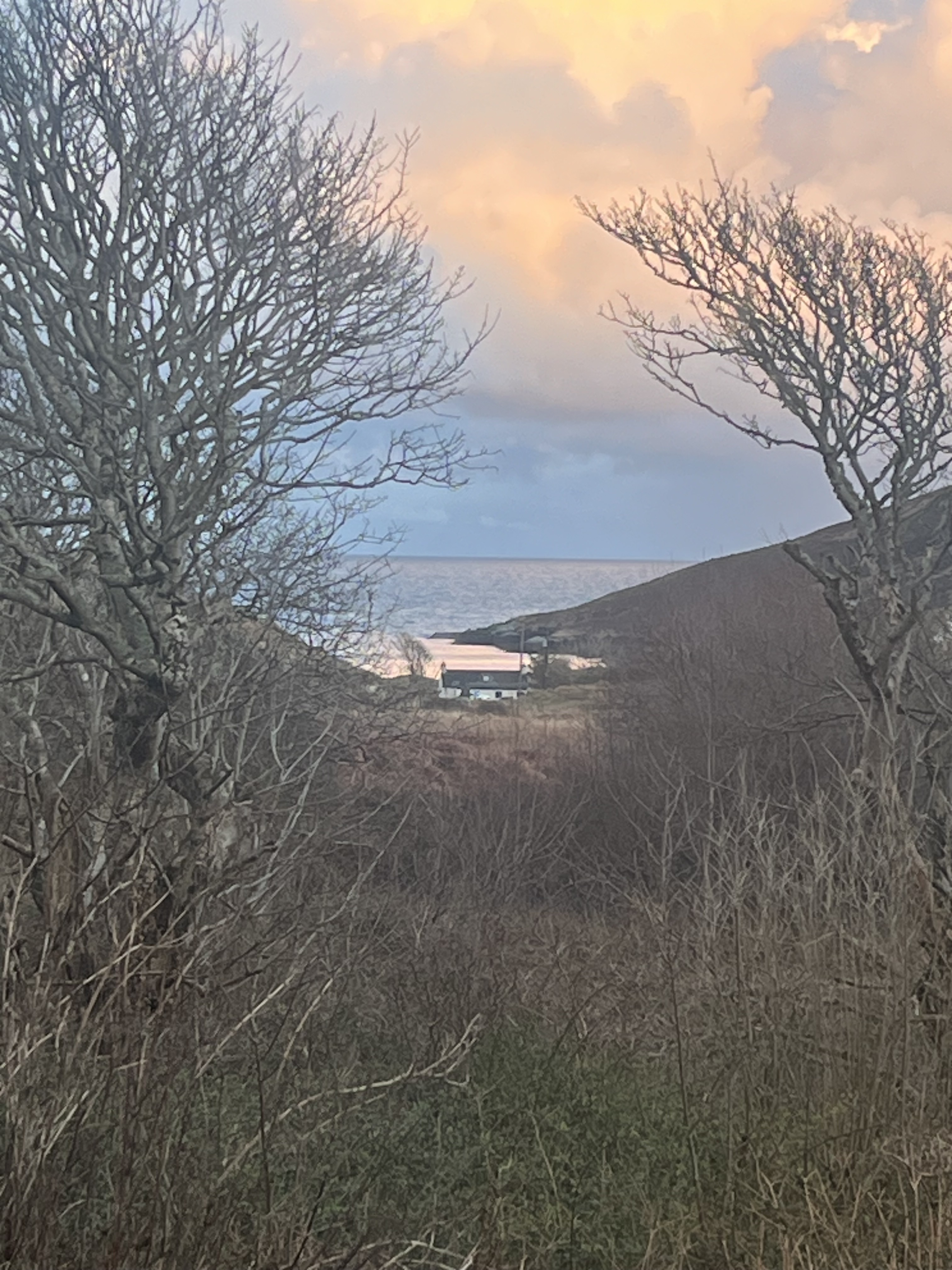 Morning light over Woodview